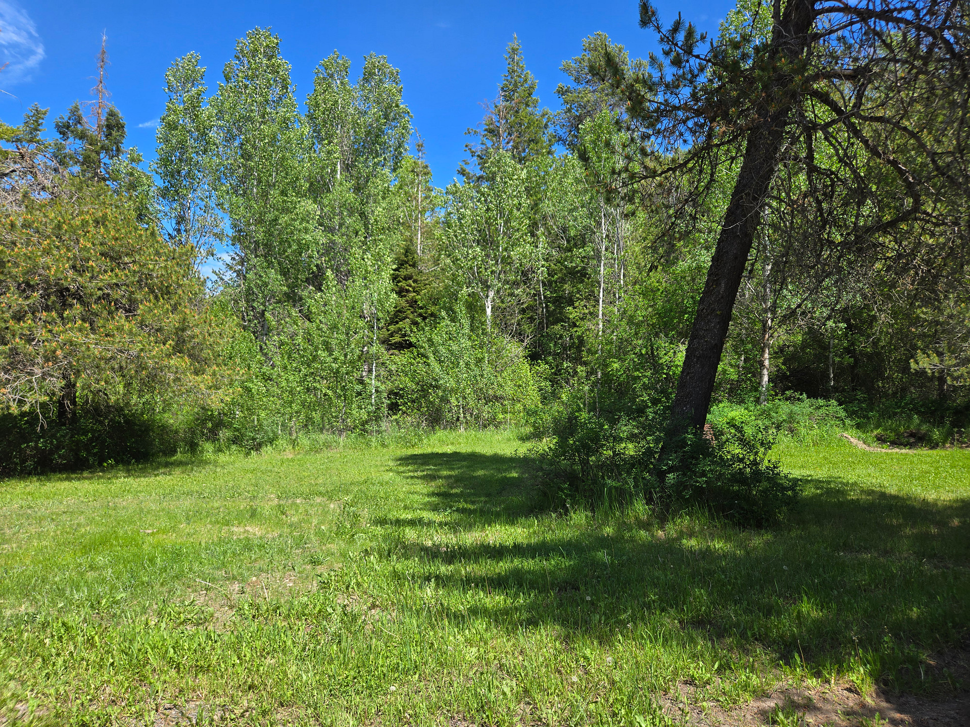 Cardwell Spur- RV and Camping Park