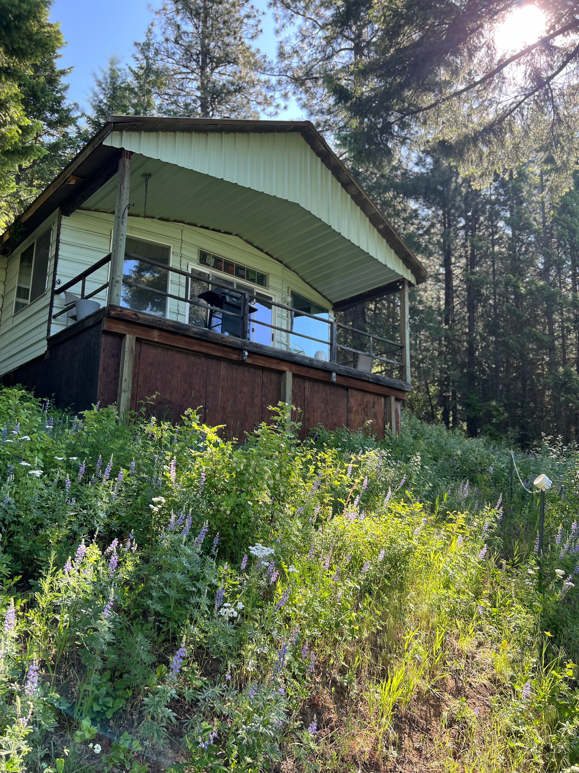 Tree Top Cabin