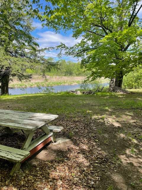Forest Creek Farm