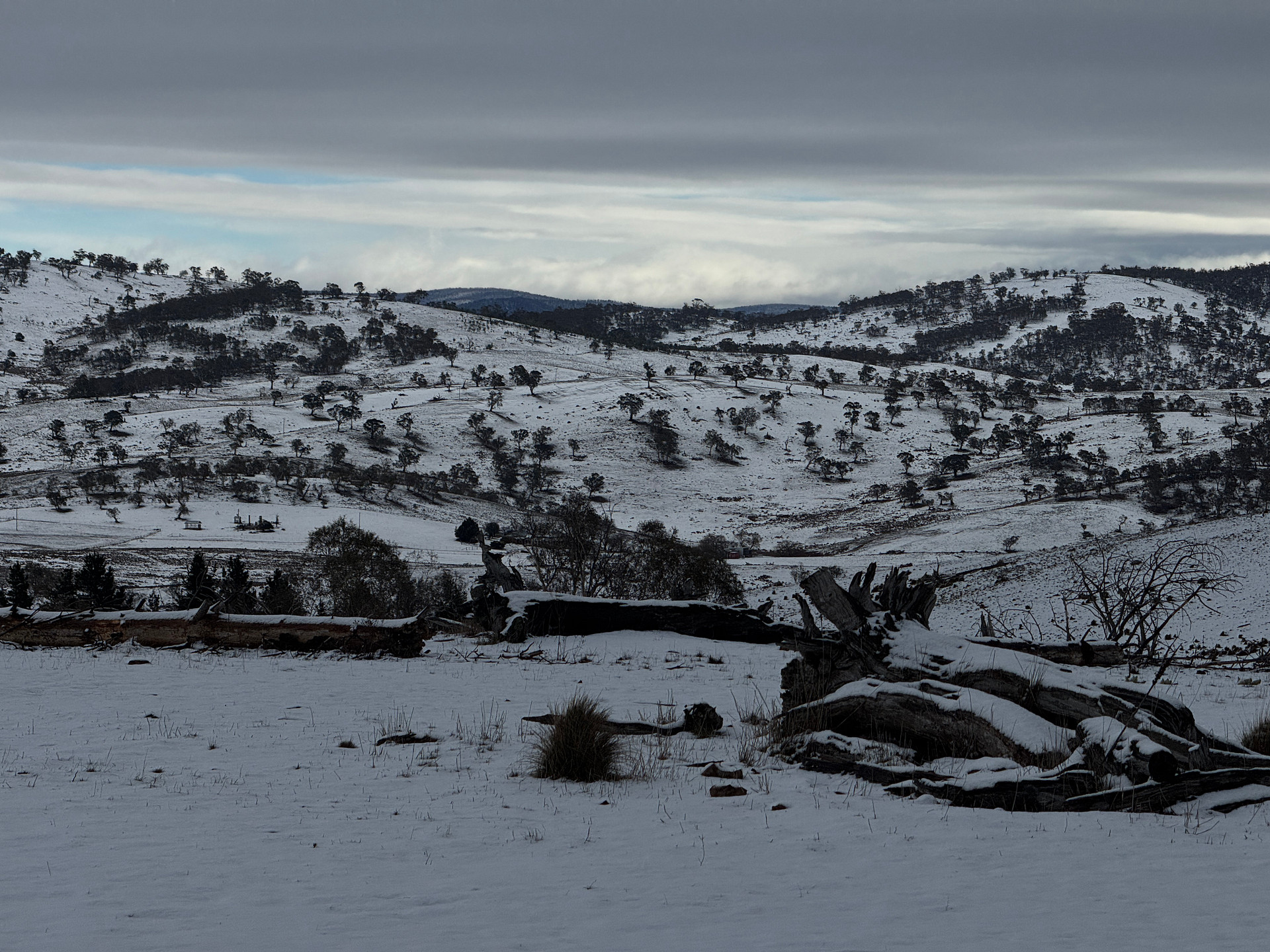 Wombat Pines - Glamping and Camping