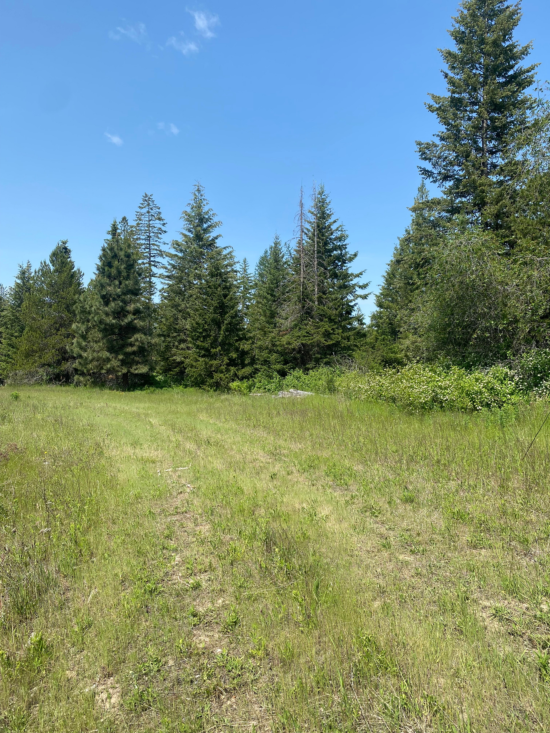 White Pine Flats Ranch