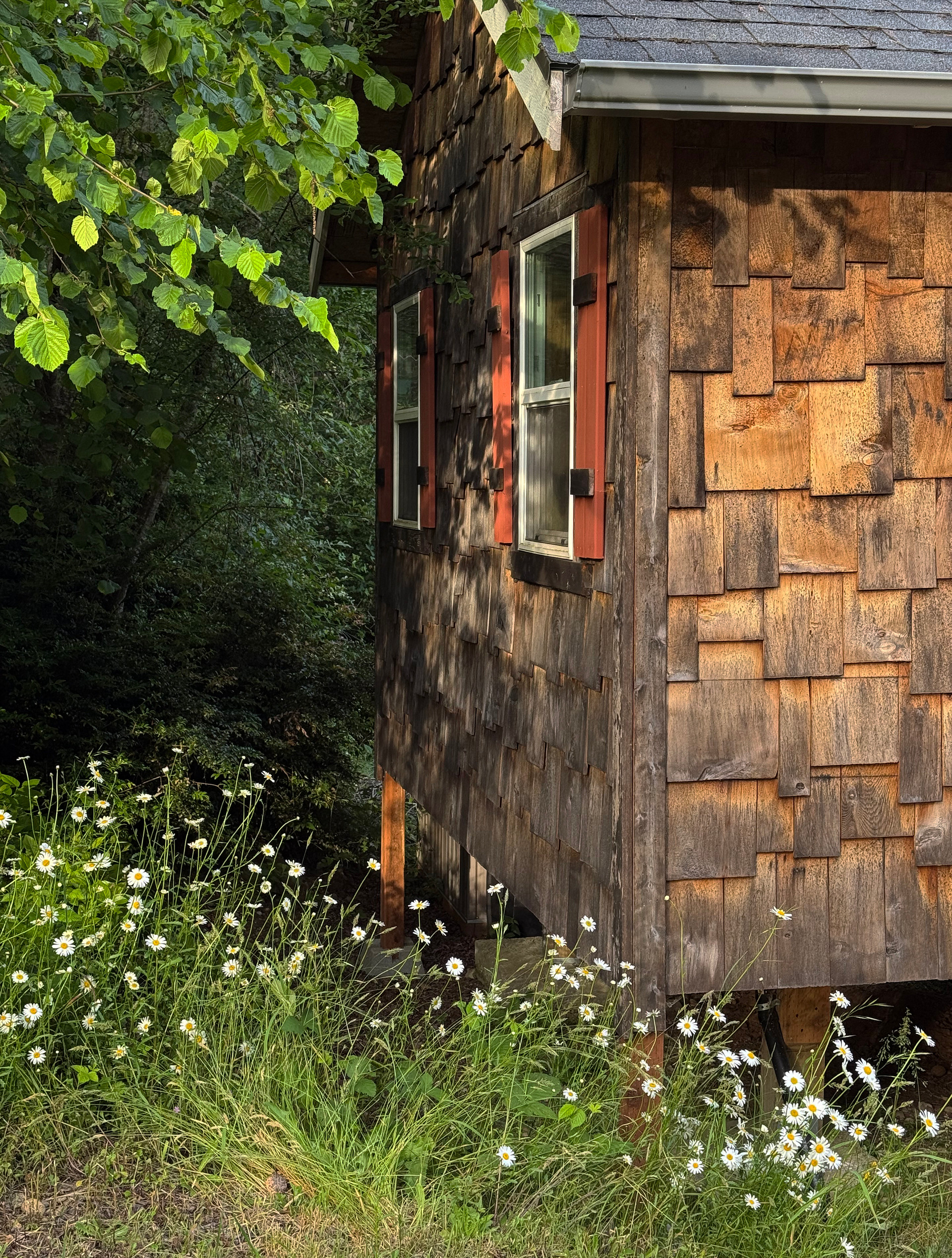 Cole's Cabin on Anderson Island