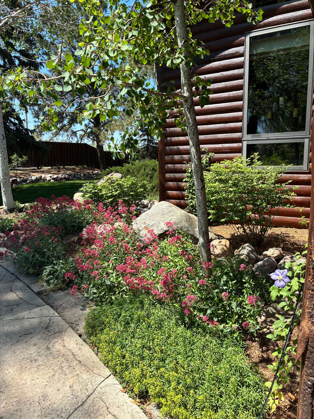 Lazy M Homestead