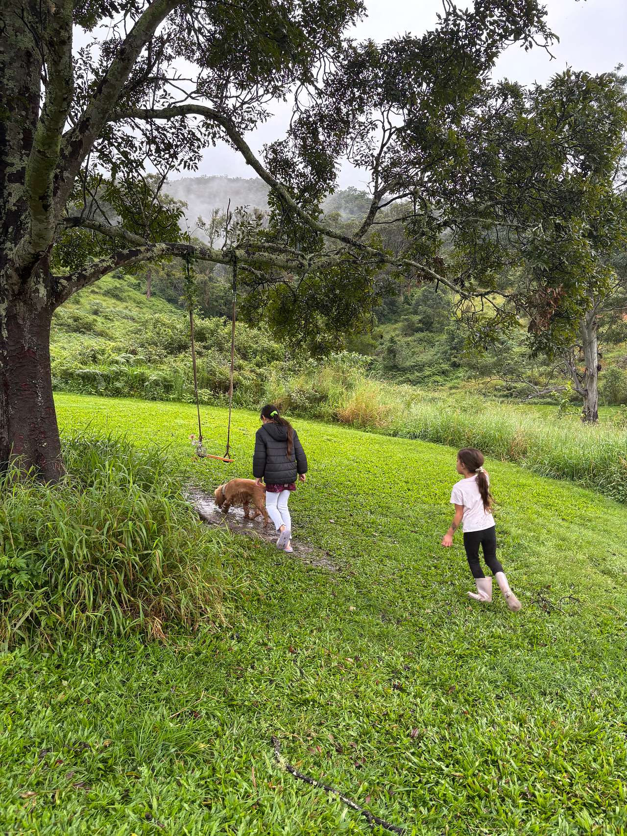 Kookaburra Park Farm Stay