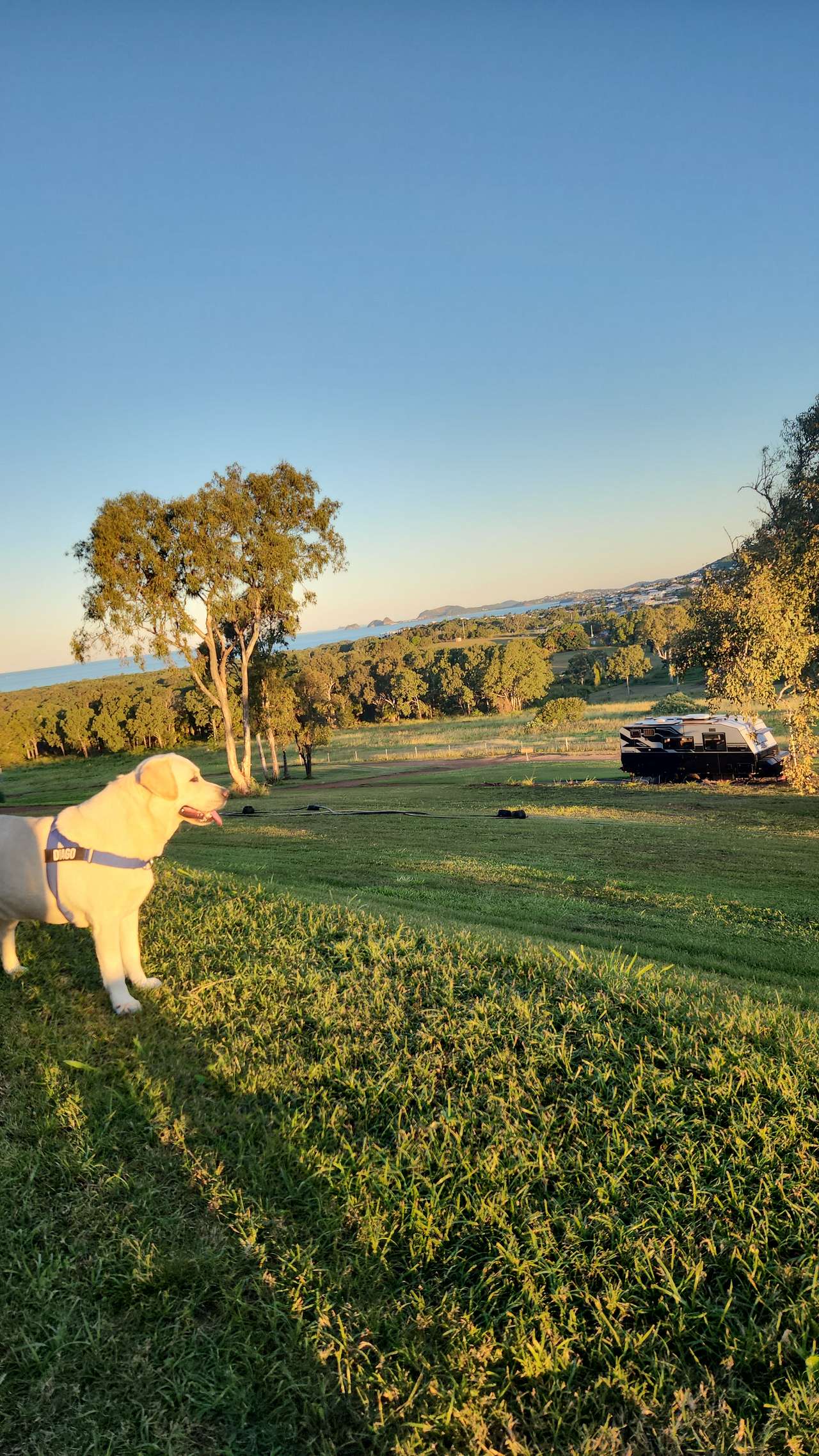Yeppoon Farmstay