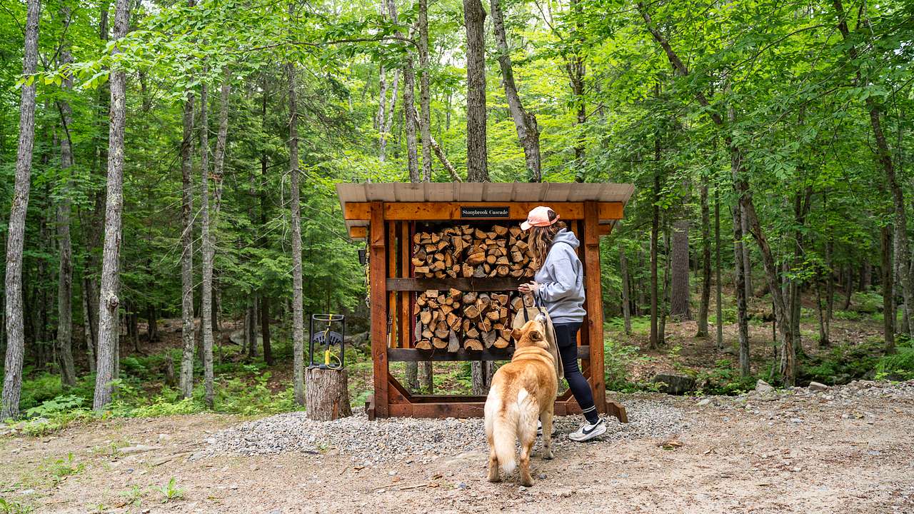 A wonderfully constructed kiosk with no shortage of firewood