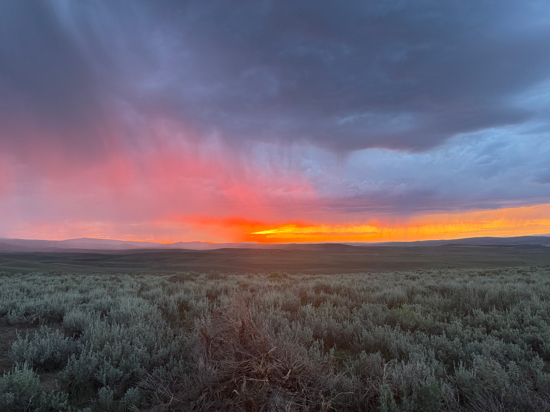 Sagebrush Solitude