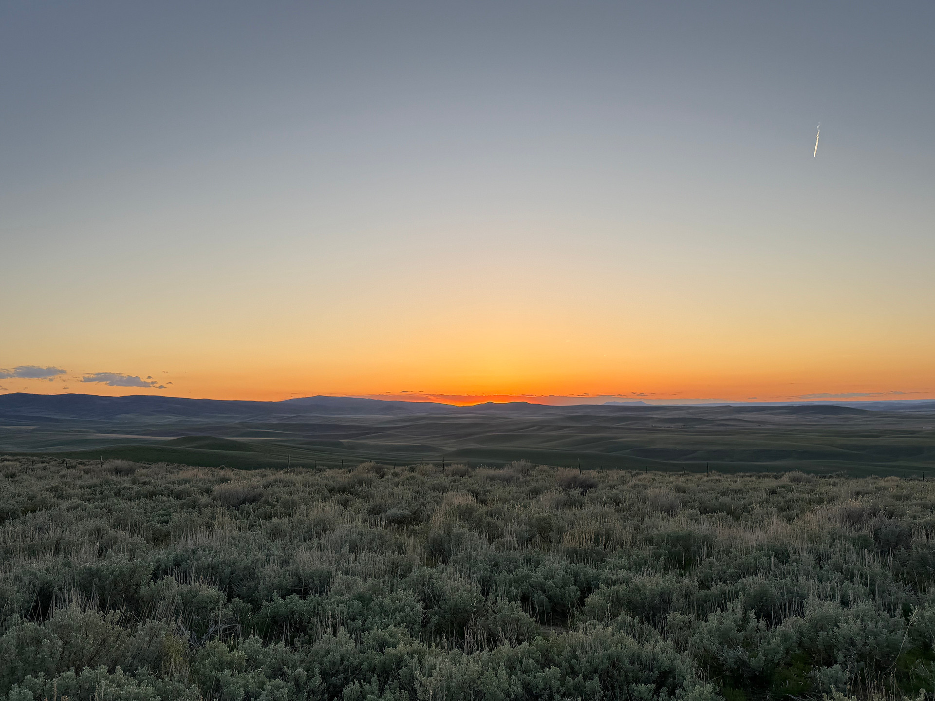 Sagebrush Solitude