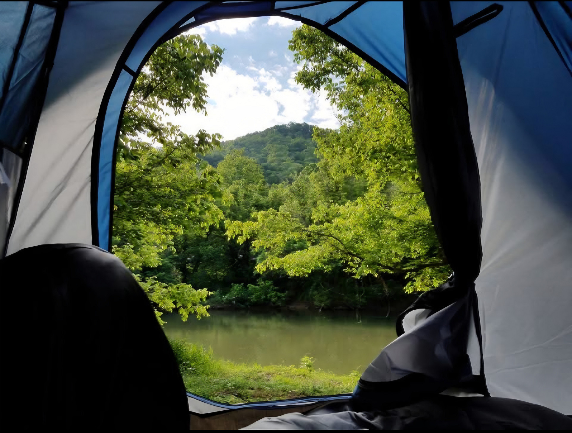 View from tent