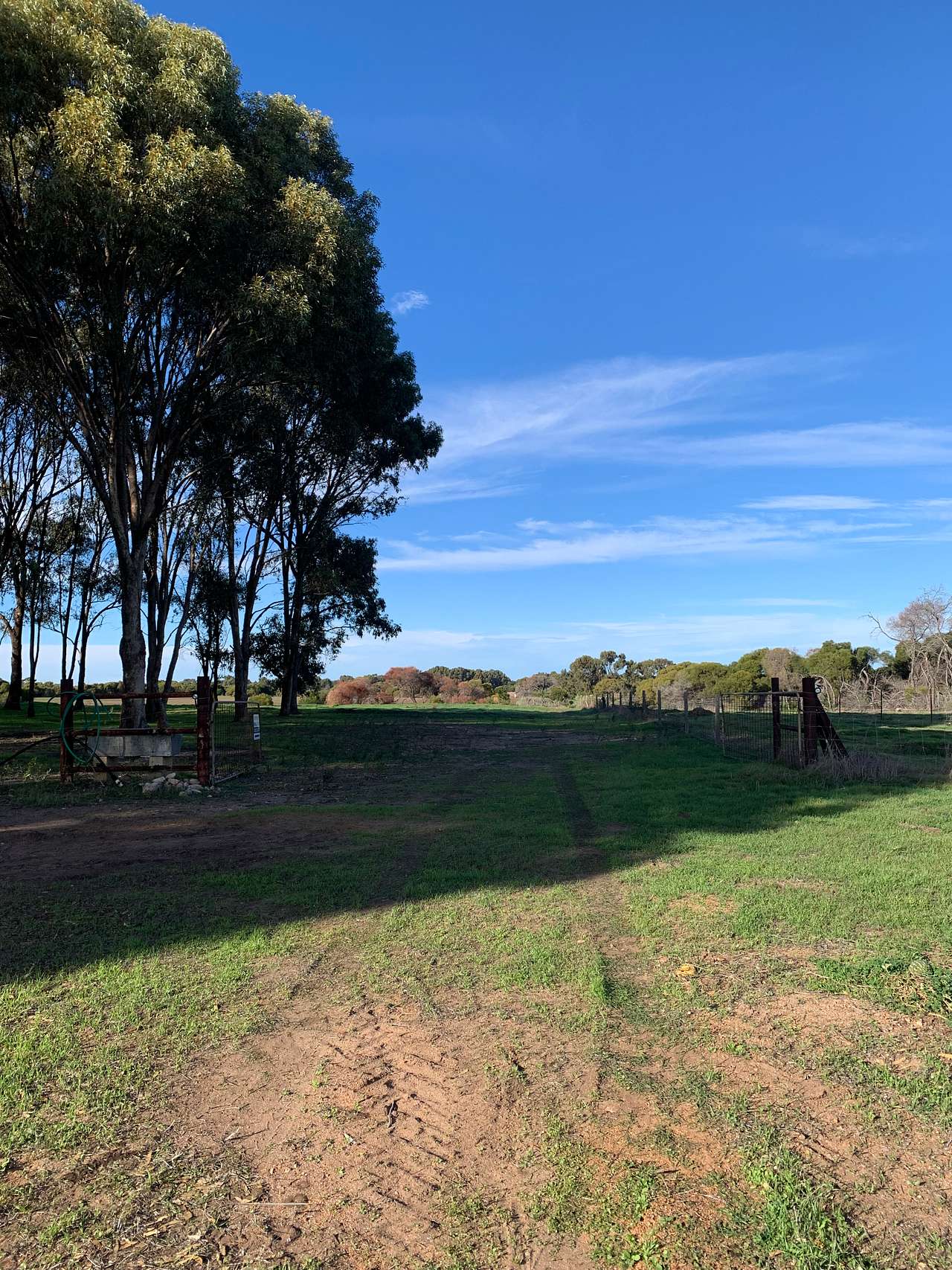 The Mallee Manor Campground Dongara