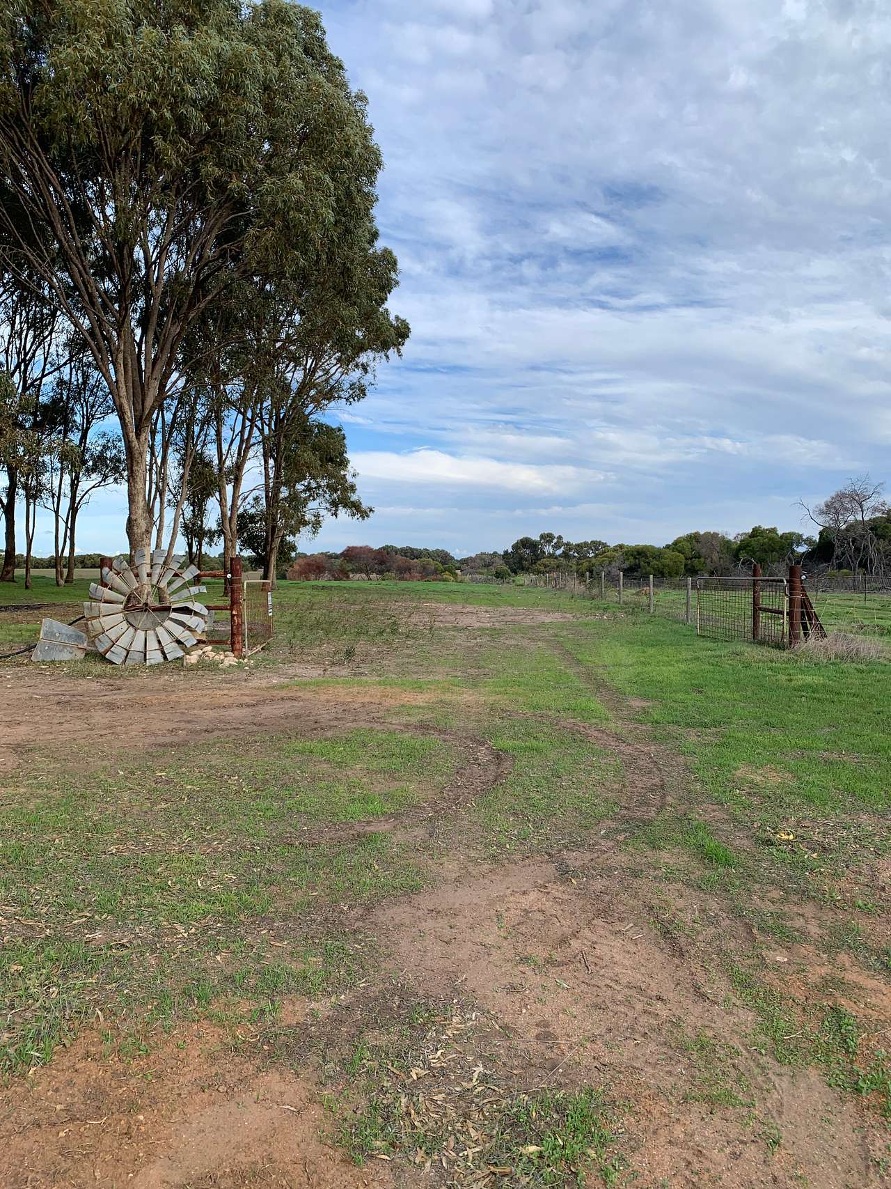 The Mallee Manor Campground Dongara