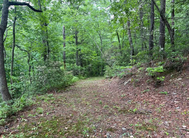 J&J Mountain Campground