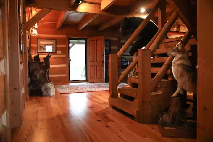Wonderful Log Home on Lake Mattamuskeet