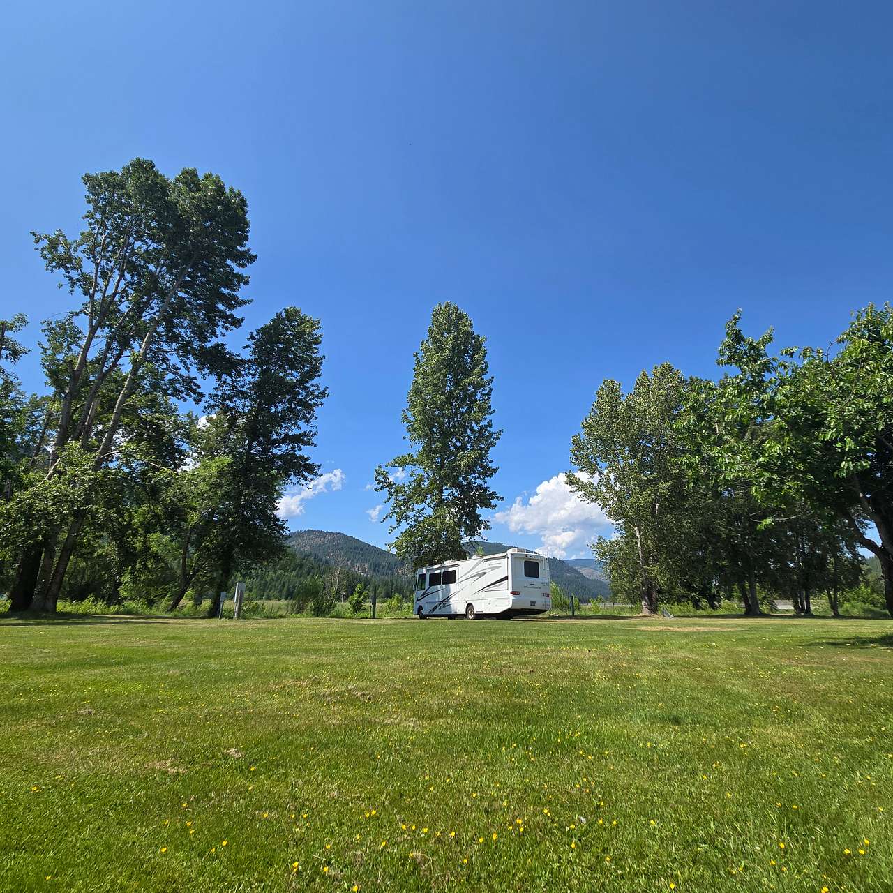 Lions Den Ranch
