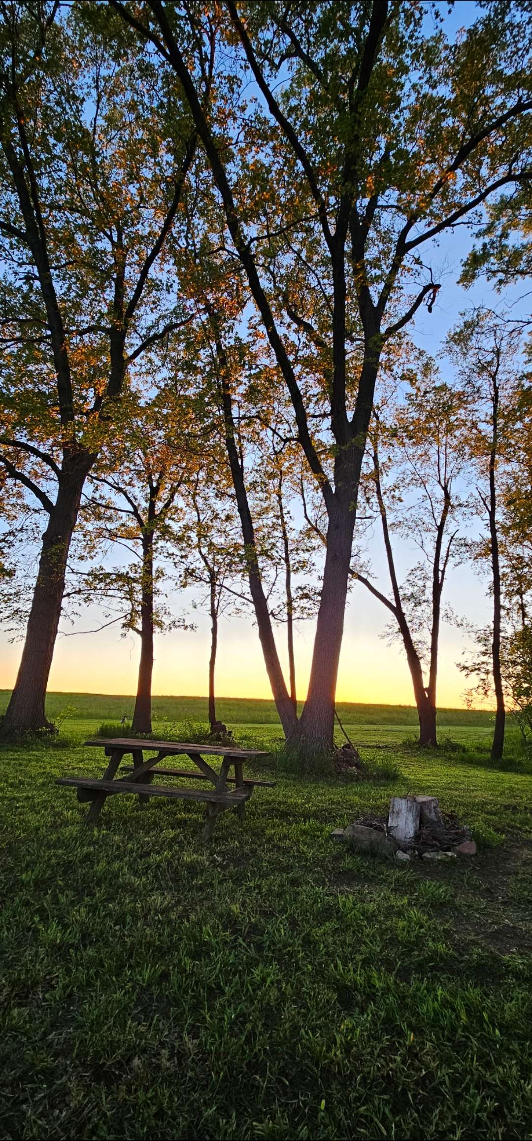 Sunset views!