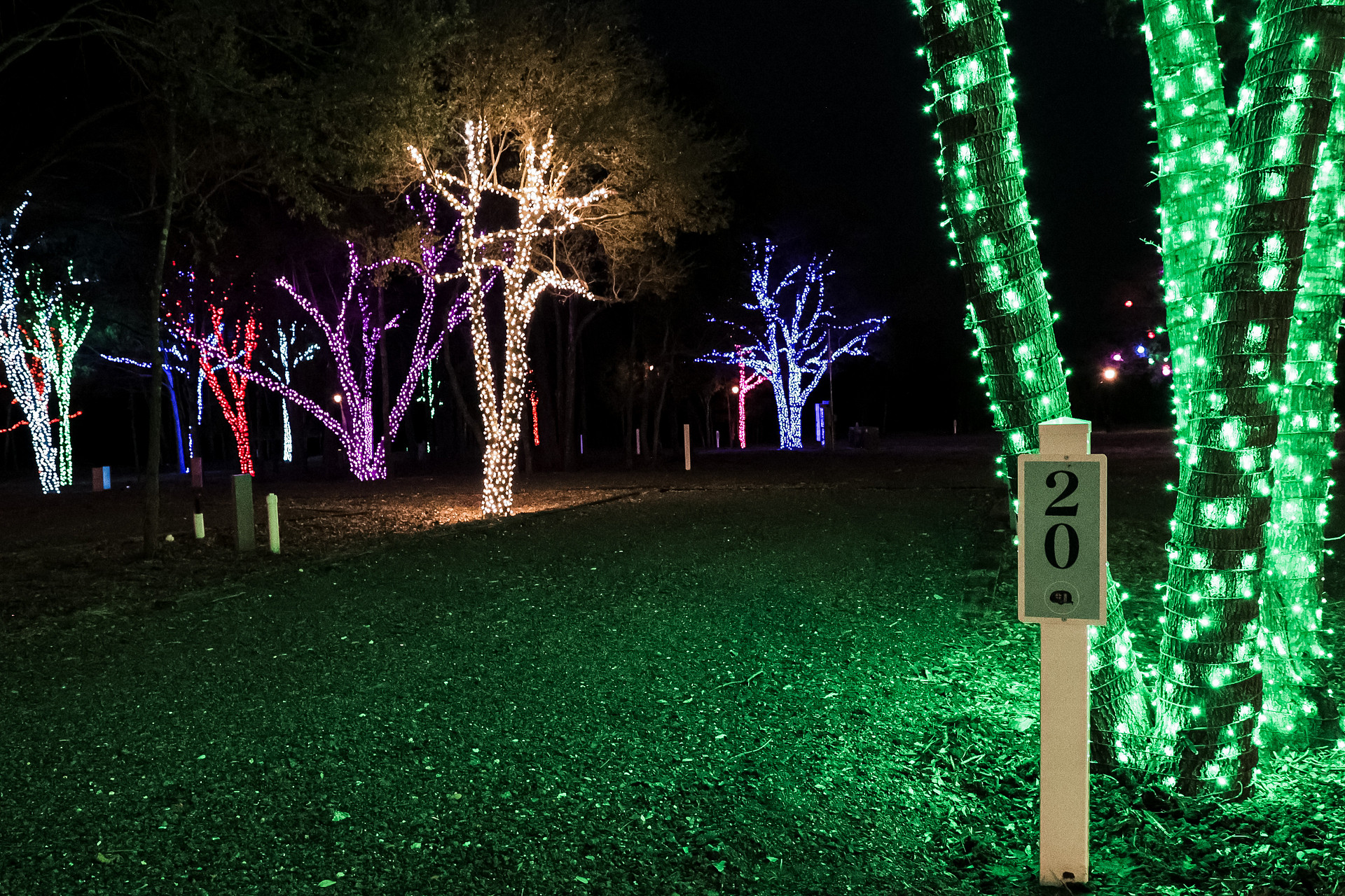 Christmas Light Camping at Yuletide