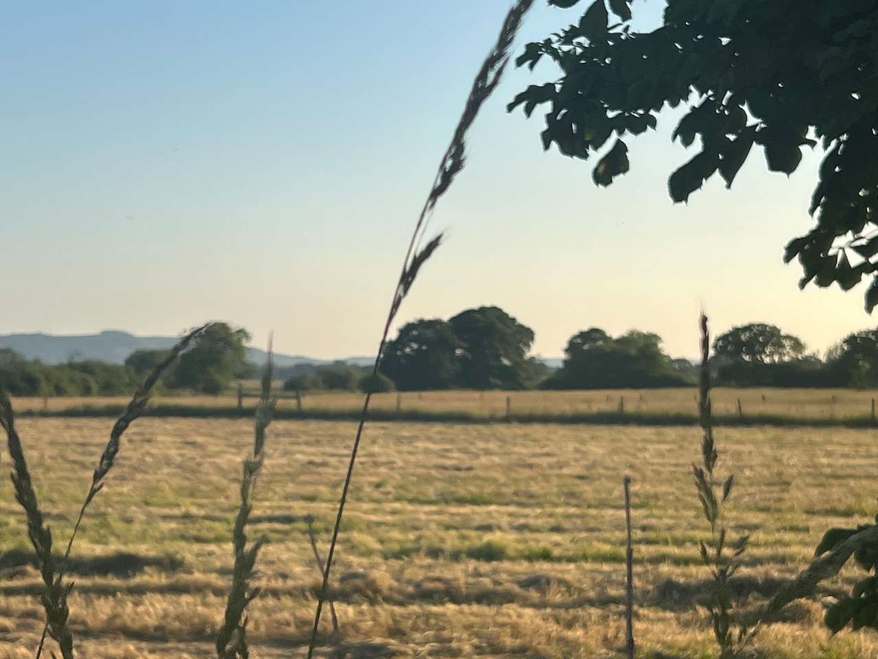 Chanctonbury Corner