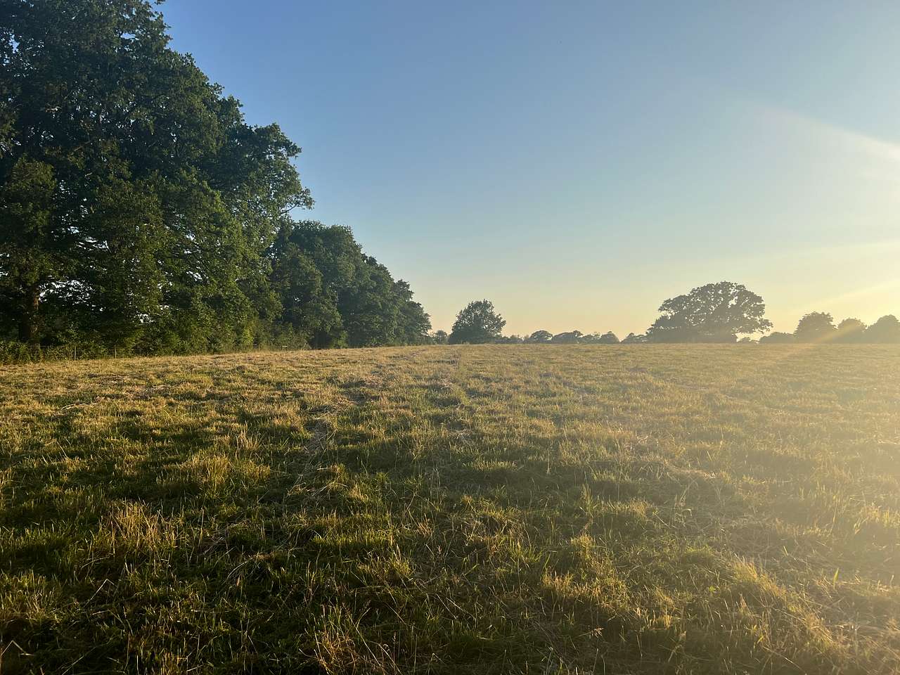 Chanctonbury Corner