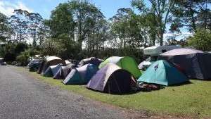 Bay of Islands Holiday Park