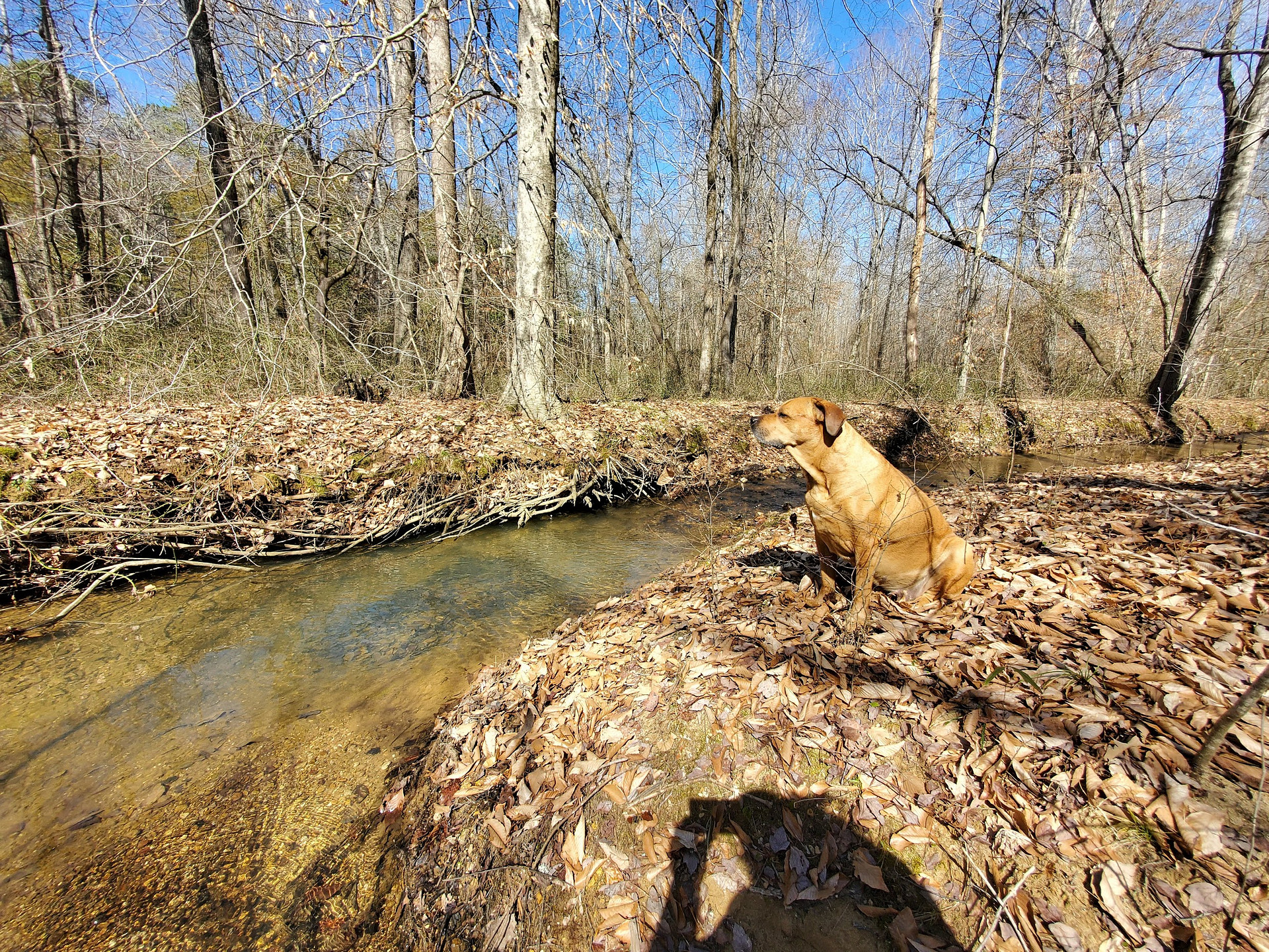 Wilderness Camp at Healing Springs