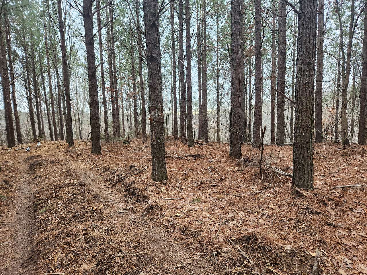 Whispering Holler Retreat