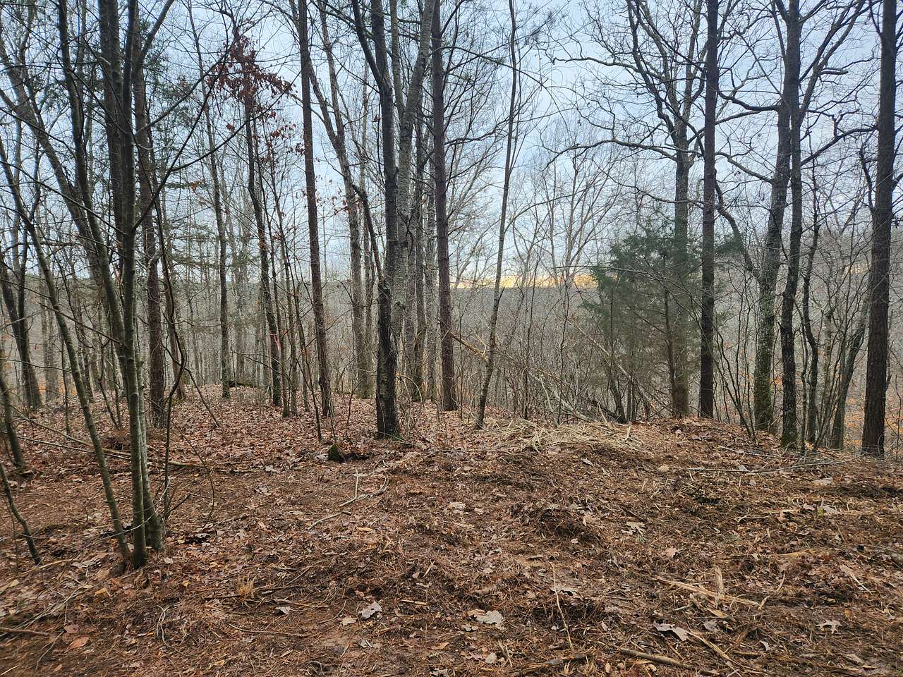 Whispering Holler Retreat