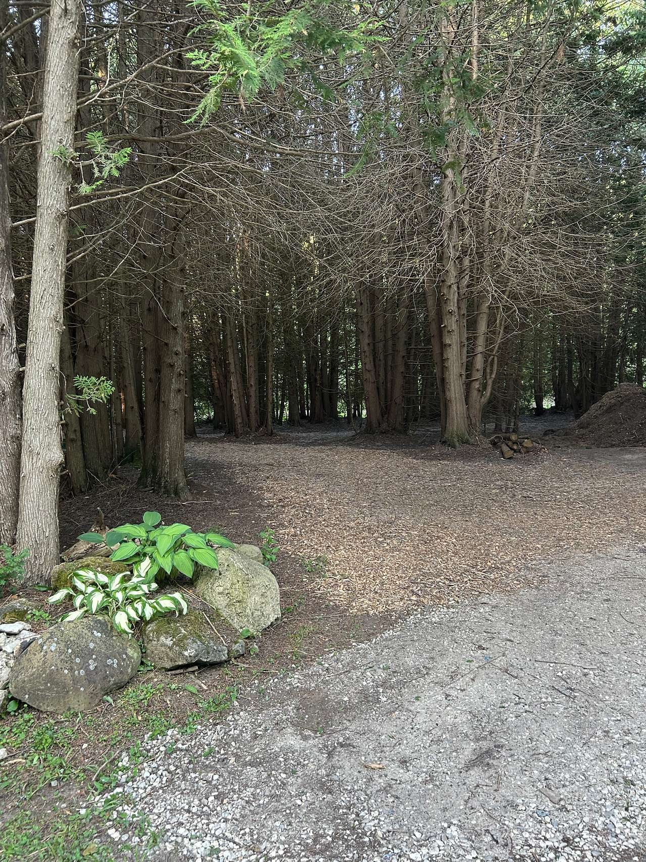 Southgate - Secluded Cedar retreat