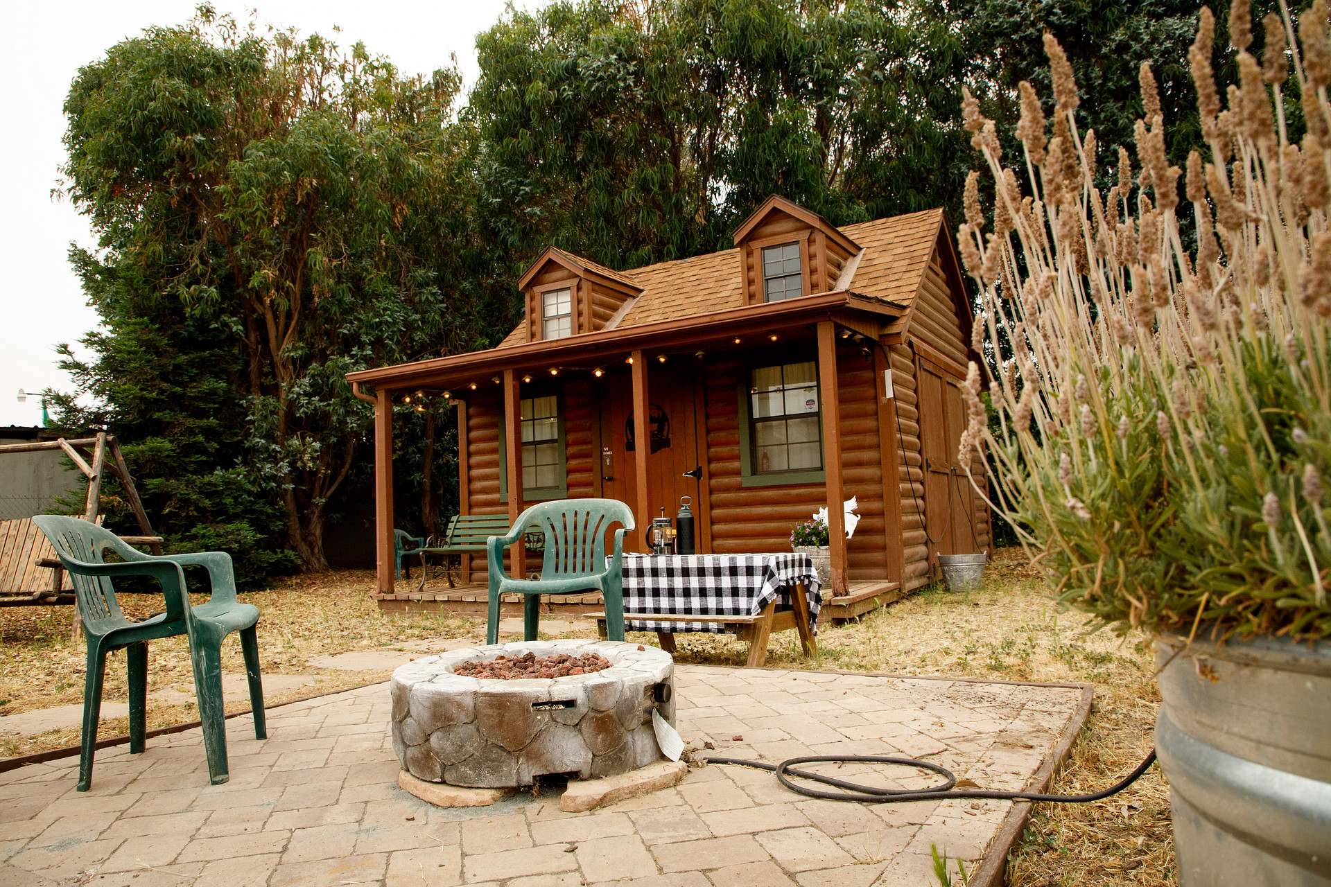 Windsor Family Farm
