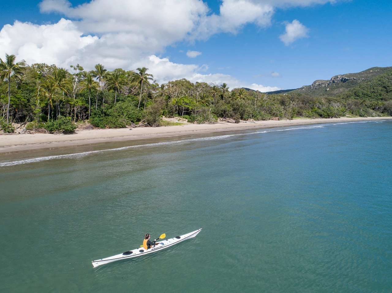 Cape Hillsborough Nature Tourist Park