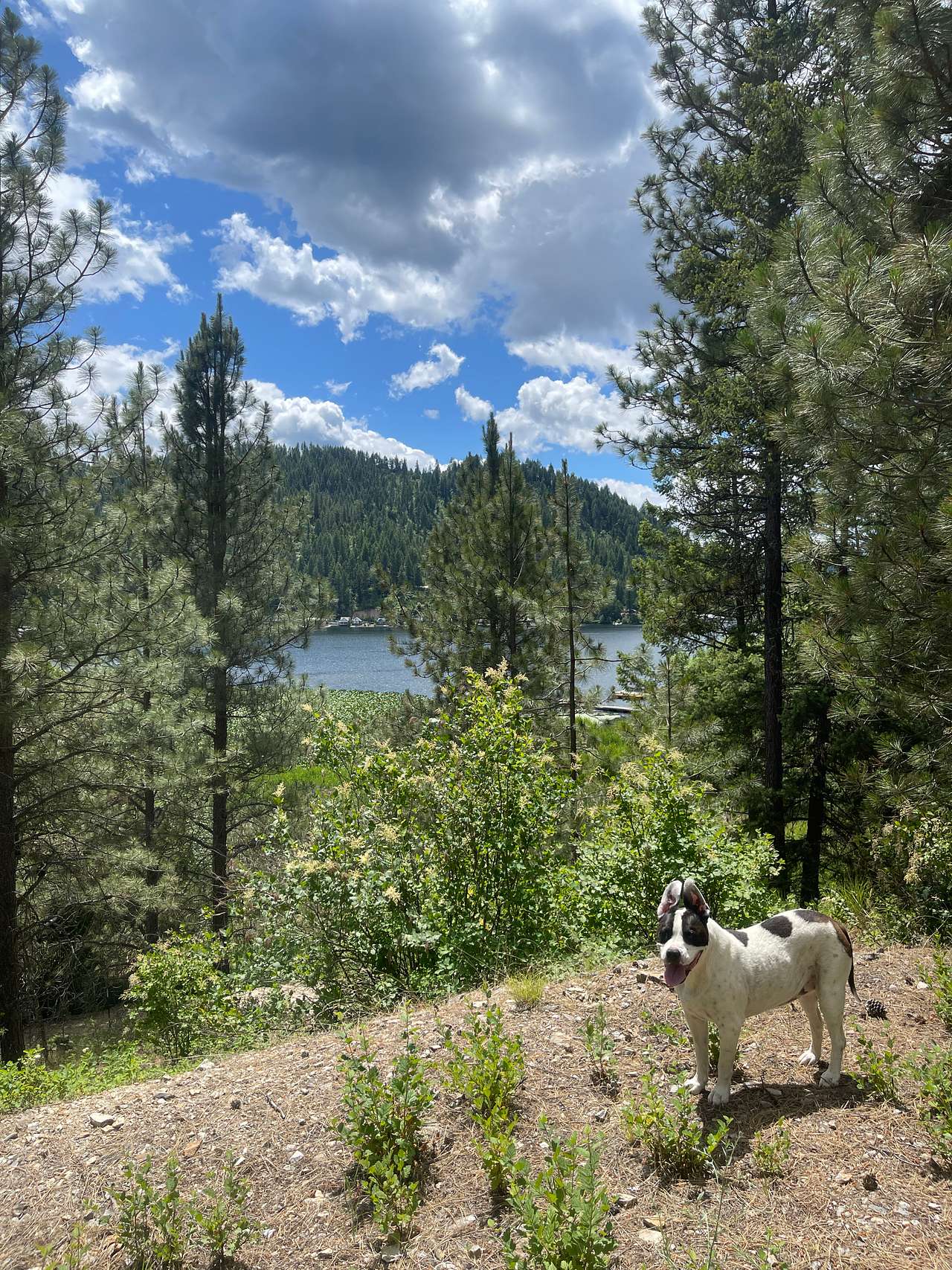 Lakefront mountain view