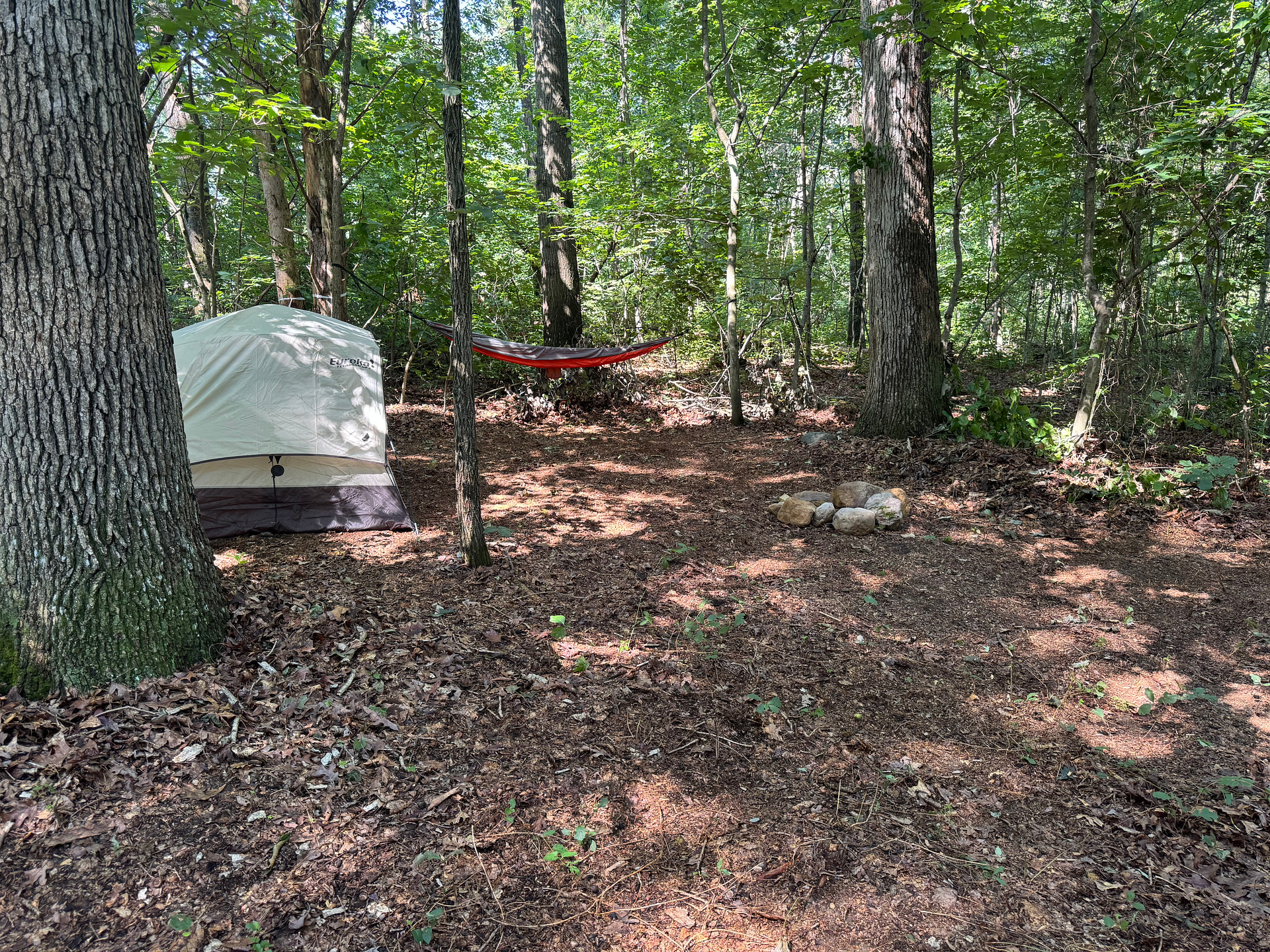 Site #1