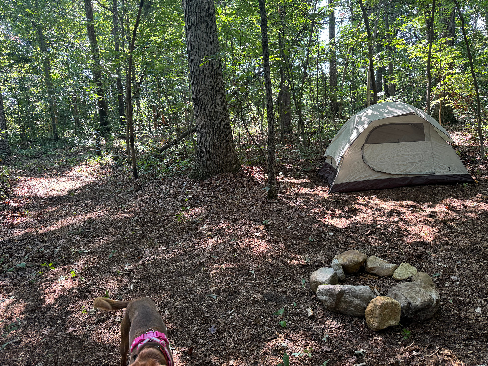 Site #1