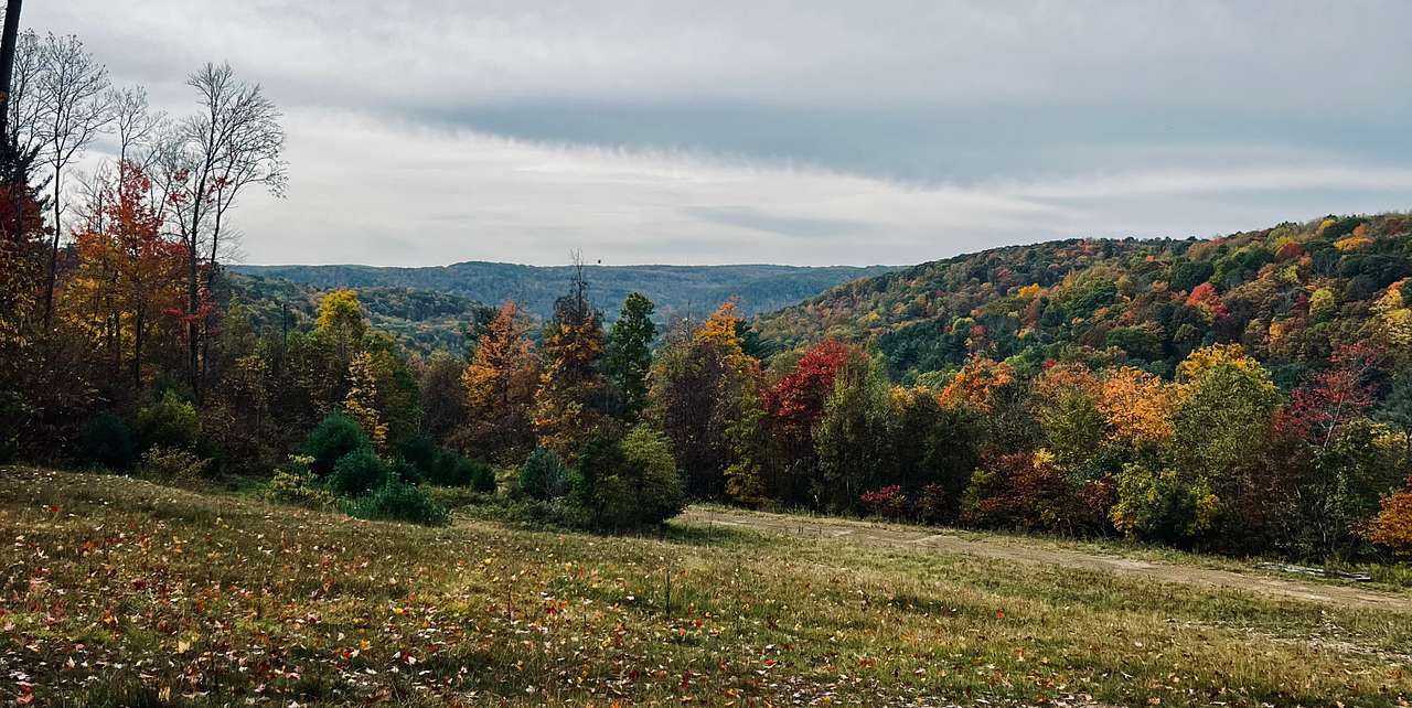 R&R Rustic Acres