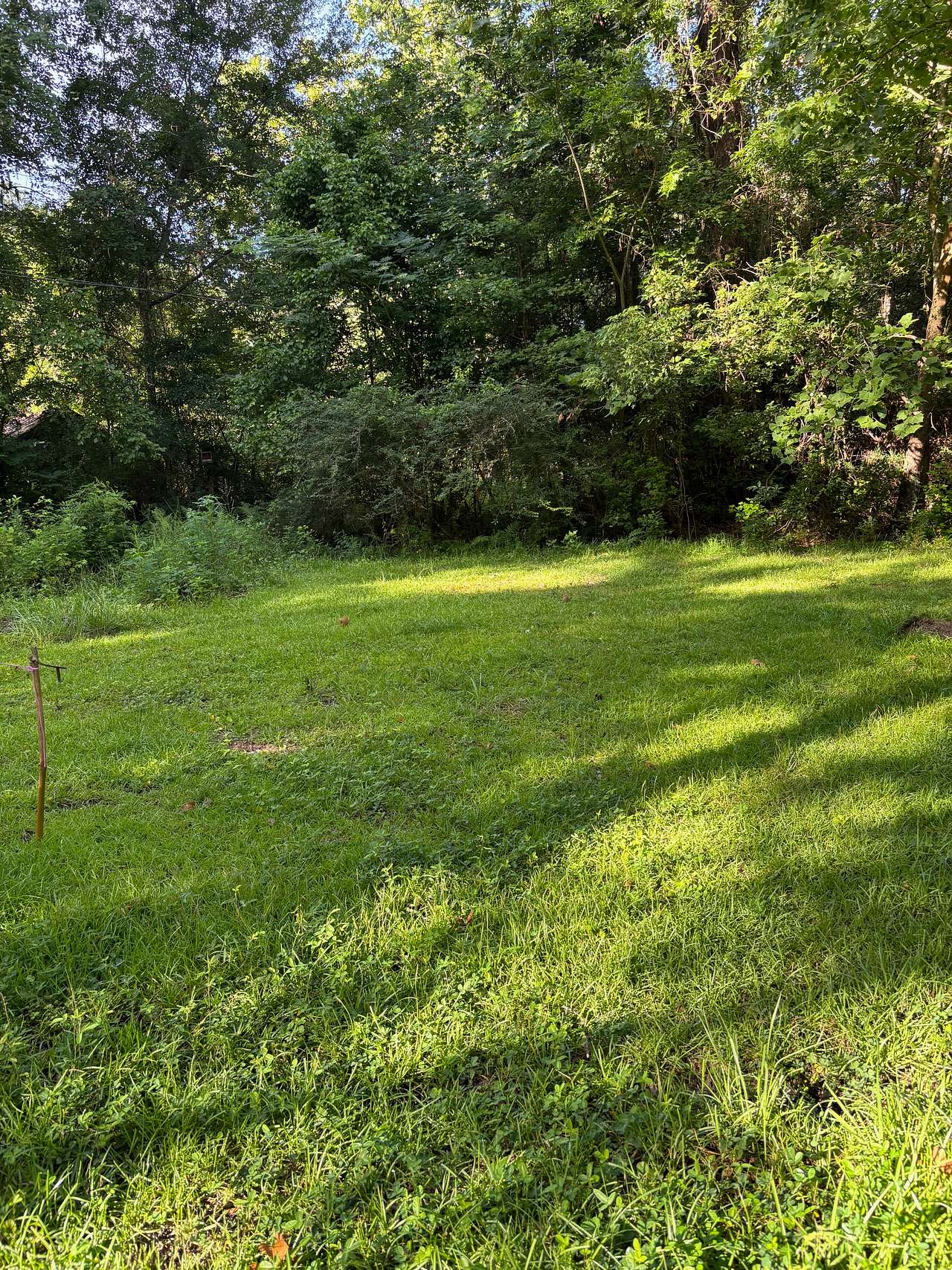 The Lawn