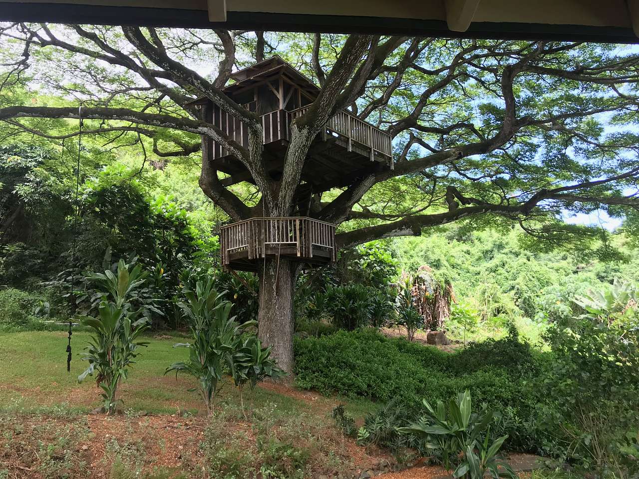 Gorgeous Views-Farm-Jungle-Ocean
