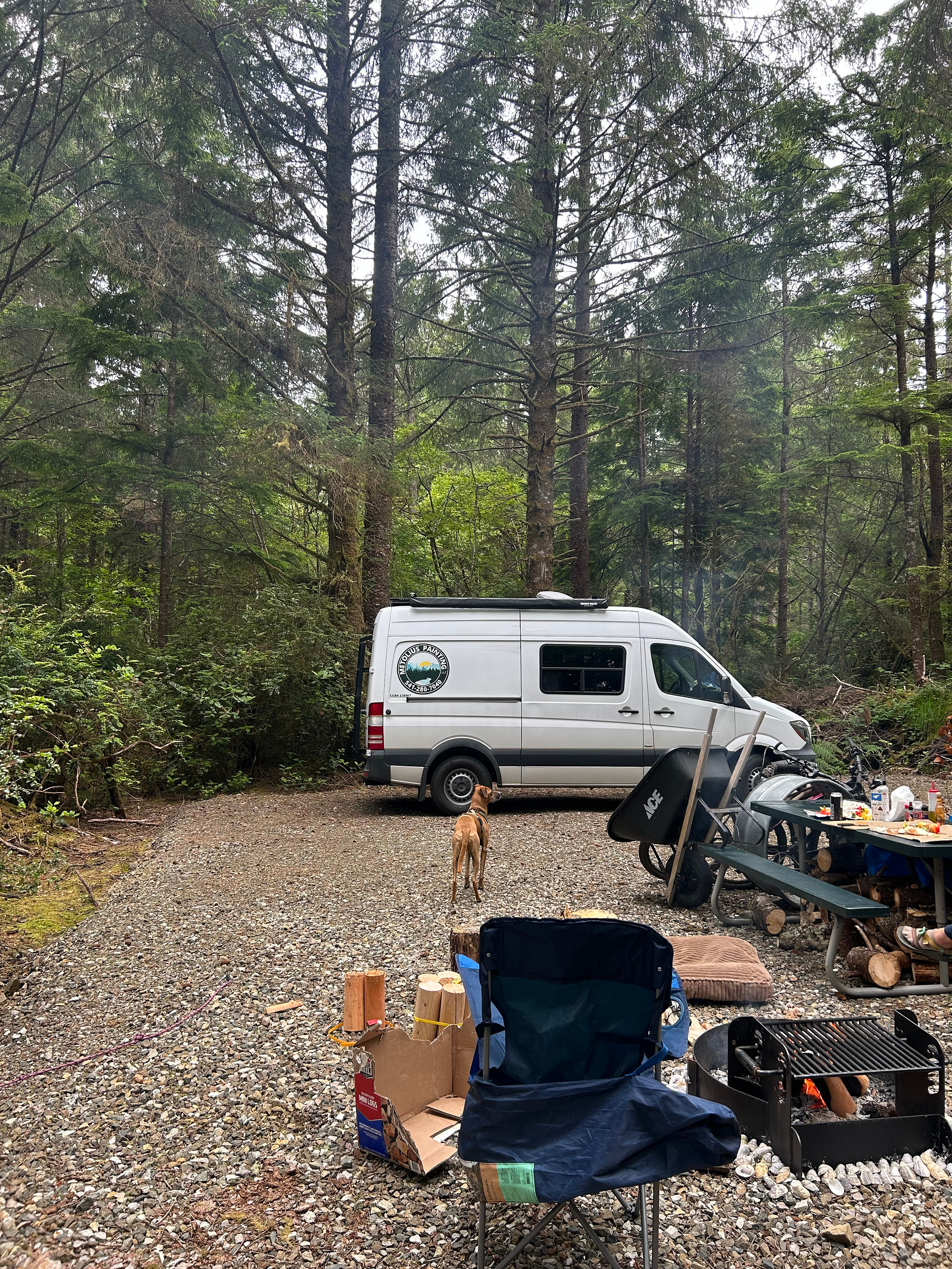 Twisted Tree Camp