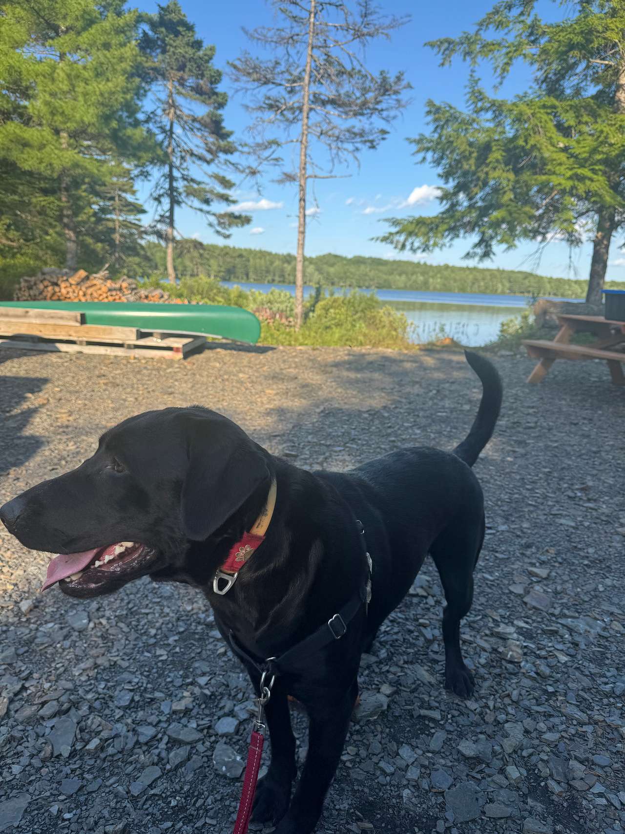 Ashland Lake Retreats At Grant Lake