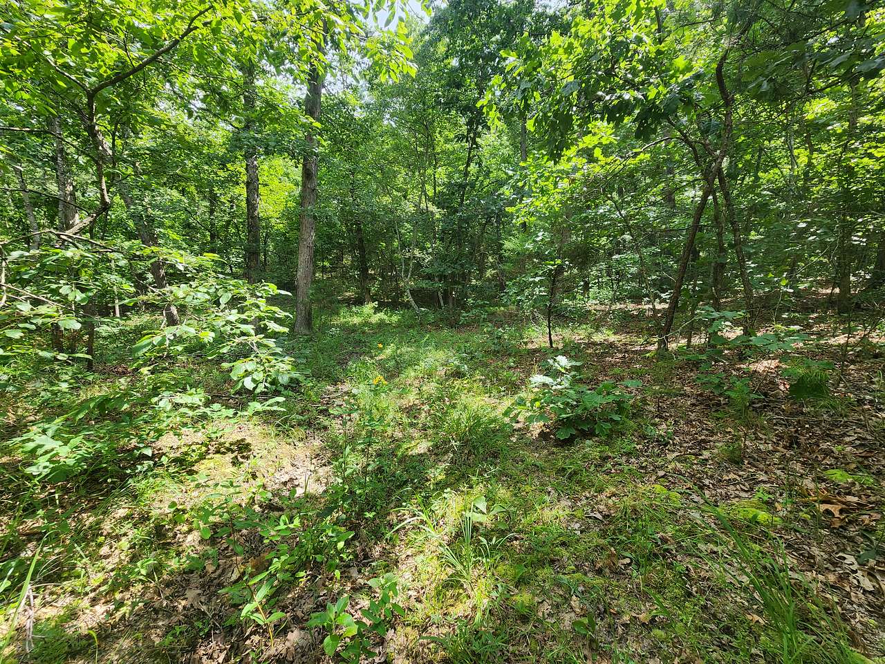 Dotson acres