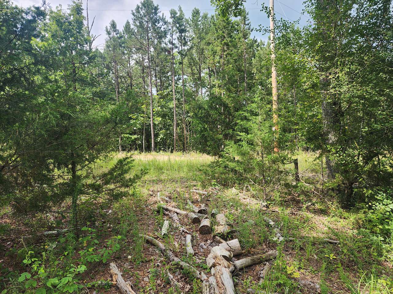 Dotson acres