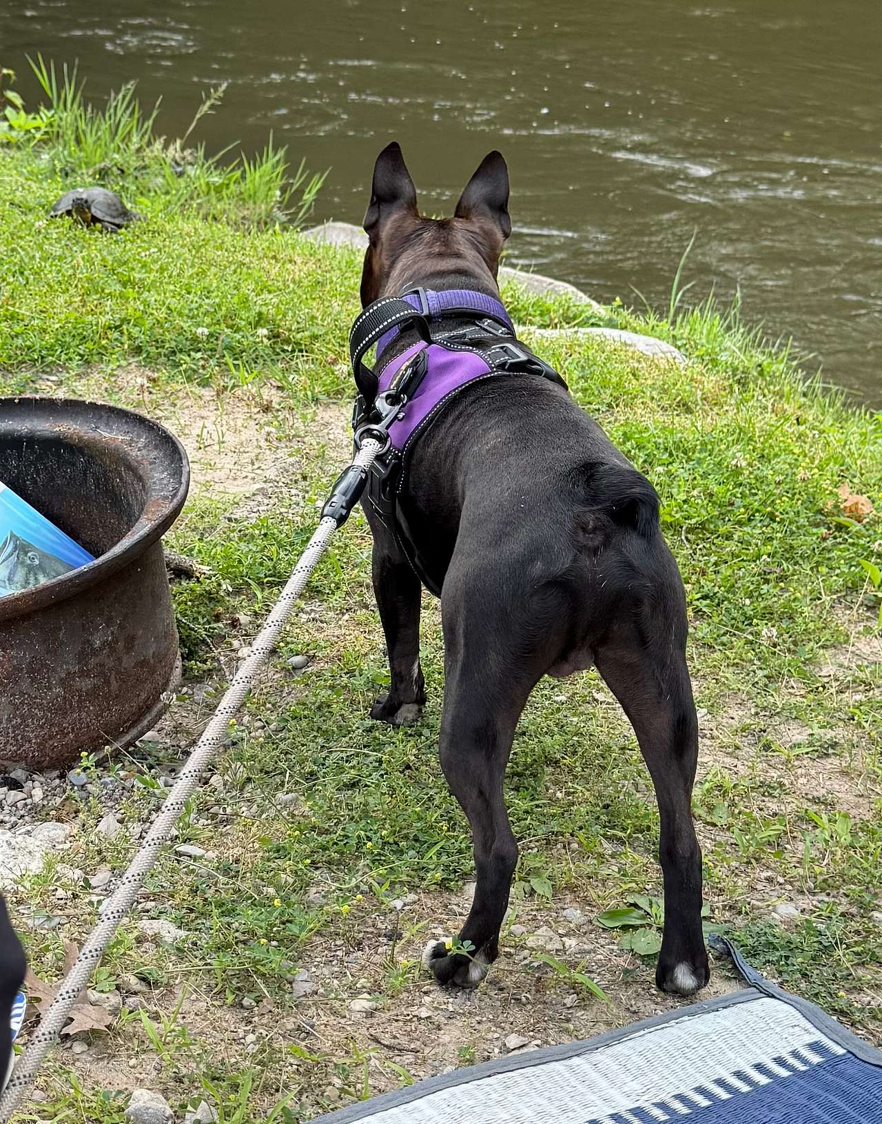 Winding River Campground
