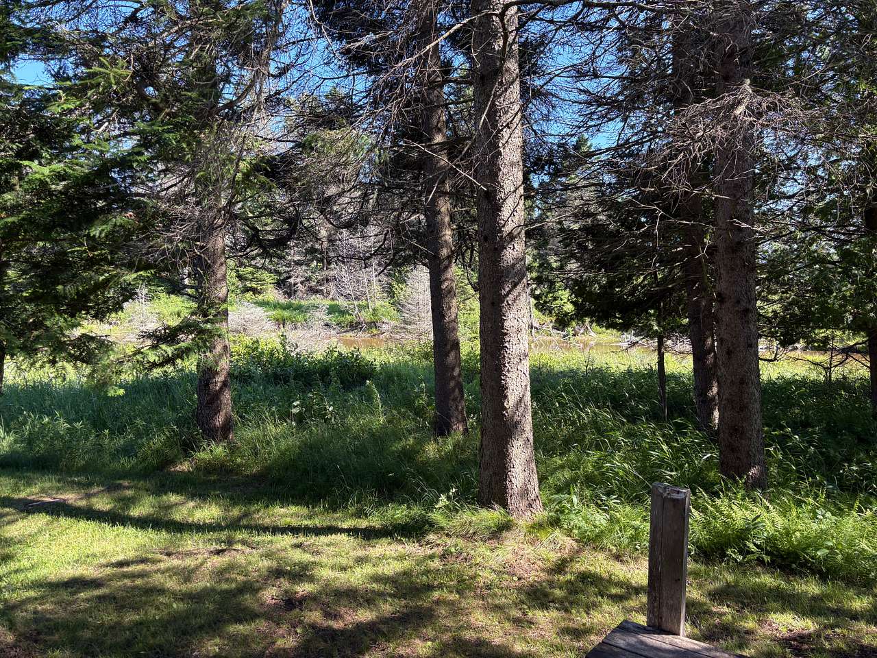 Fulford's Cottages And Camping