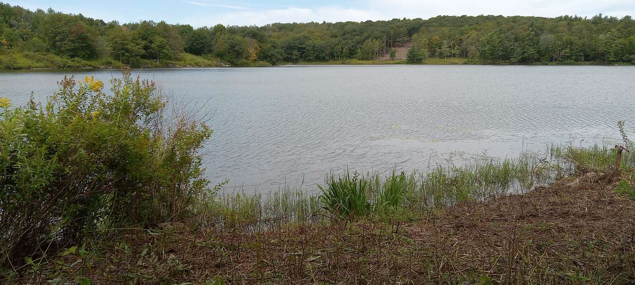Triangle Lake Campsite