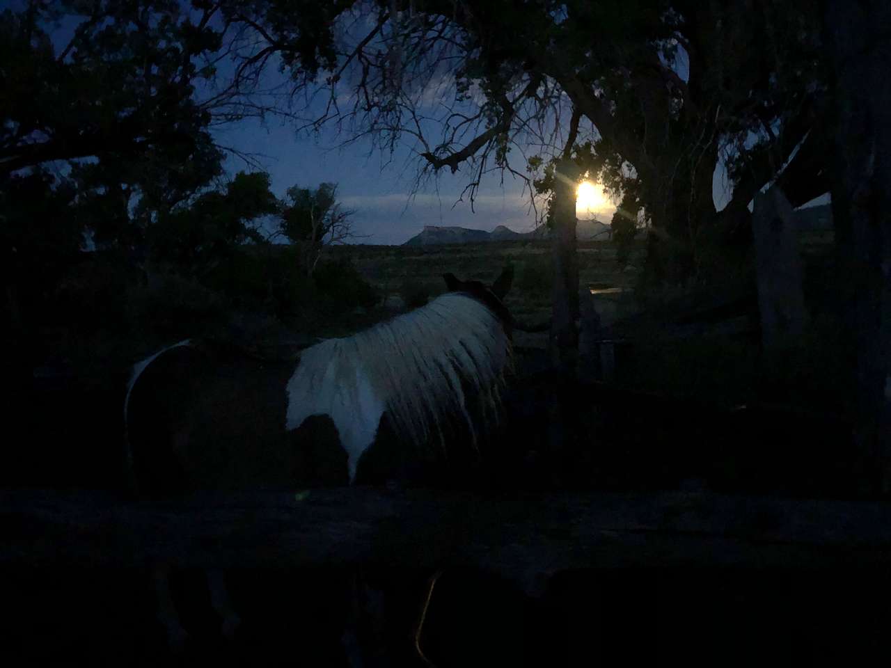 Starlight Ranch