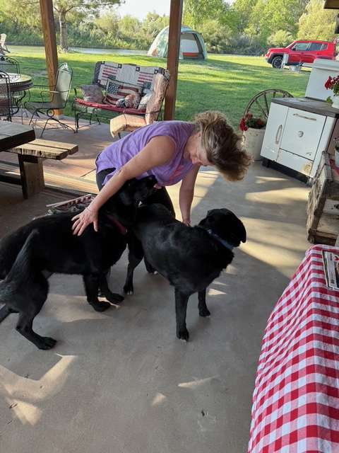View from Sandy's back patio - My wife getting to know our four legged cohosts!  Also gives a good view of the camping area, you can see our car, our tent and the river in the distance.
