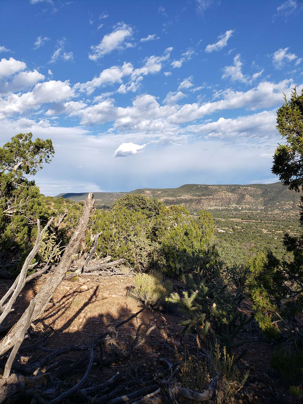 Ridgetop Oasis Private Tent Site
