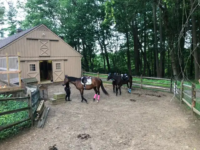 BozziBrook Farm