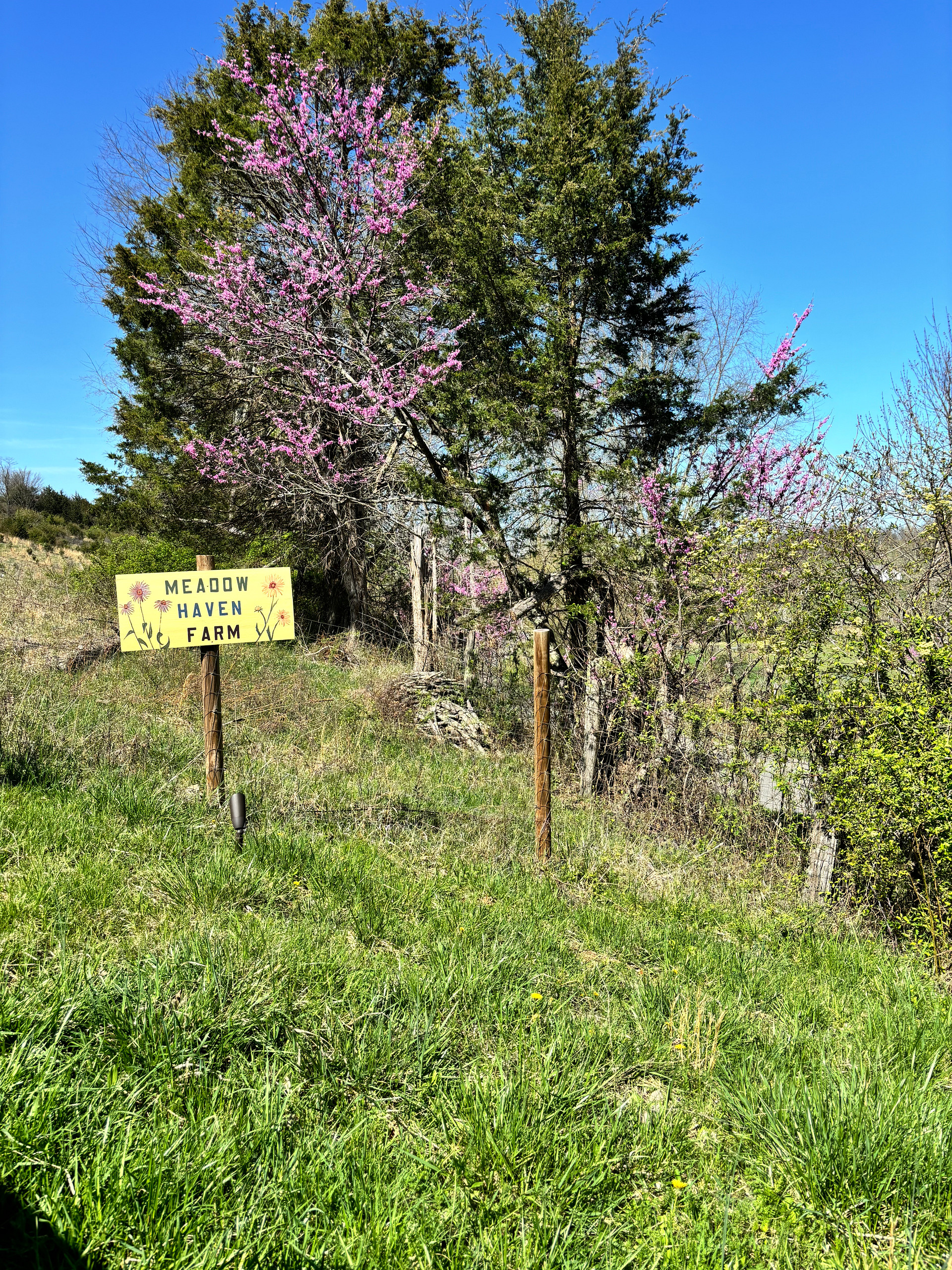 Meadow Haven Farm And Camping