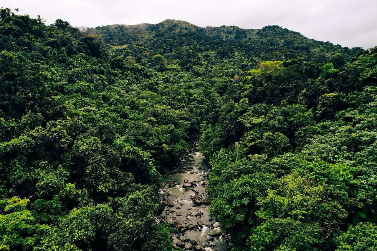 Finca Arabuko