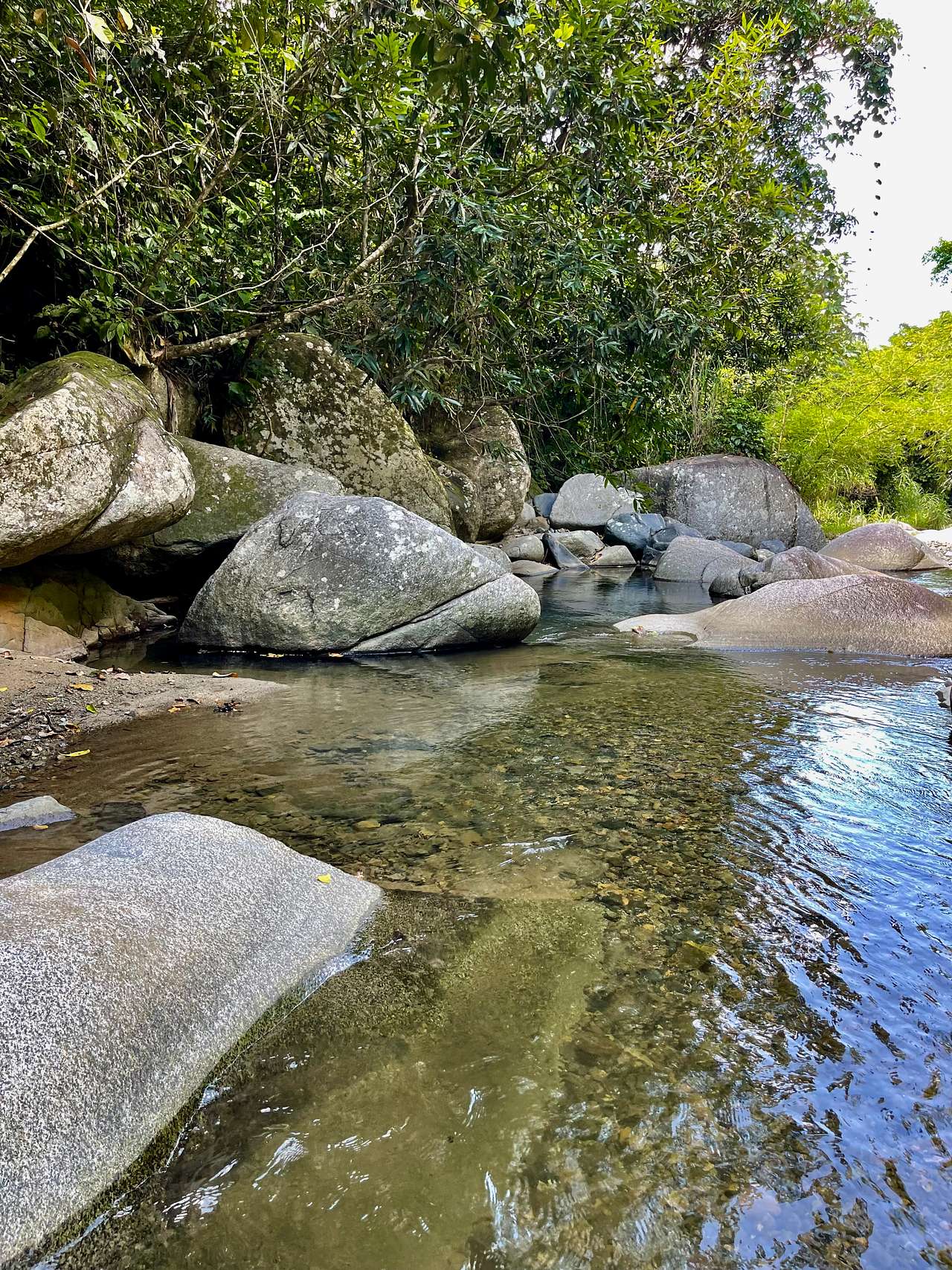 Finca Arabuko