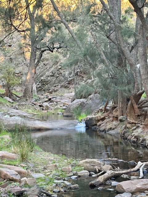 Wombats Hut